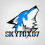 Avatar of SkyFox07