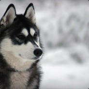 Неверная Аксиома