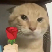 哈基米不会说话