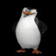Skipper