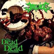 Sadomasomator odbytnicy