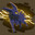 Midderp's Avatar