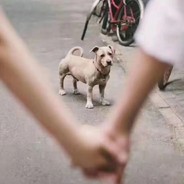 吃个外卖压压惊