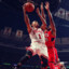 D Rose