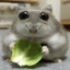 the HAMSTER. (doorman fan)