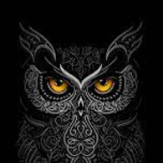 IR.Soldier HAJI OMID