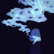 Avatar snapshot