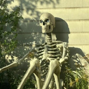 脖士学院一年级新生