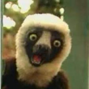Zooboomafoo