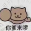 牛壮壮Zzz