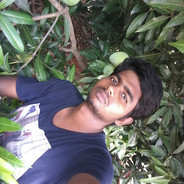 \u75af\u72c2\u4f0a\u6587