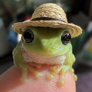 hahanz0 avatar