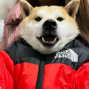 练习倒地两年半