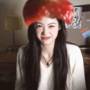 云想衣裳花想容