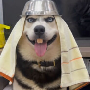 我会一直视奸你，直到永远。