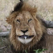 СМЕРТЬ В НИЩЕТЕ