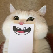 春秋蝉鸣少年归