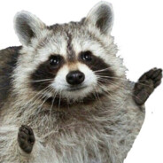 RaccoonMan