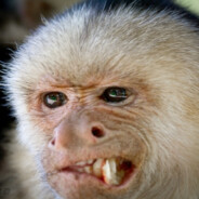 k1ngkaren - steam id 76561198014169997