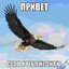 АМПУТАЦИЯ ЯИЦ