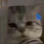 不会把不会吧