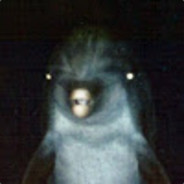 SodaRabbit