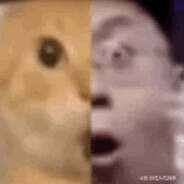 玩机器的大巴基