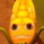 corn with a cob