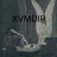 XVMD(IP)