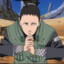 Shikamaru Nara