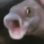 Rare Fish