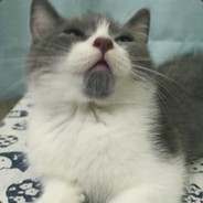 Big Avatar