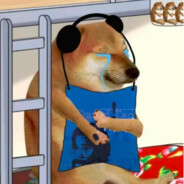 乌龟电车到处乱追尾到了大锦鲤