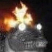 Lizard