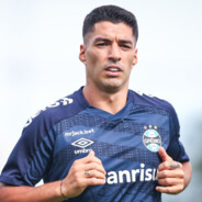 PaVanEliS