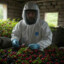 TEA FARMER JASON