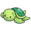 turtle #5