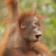 Zooja Puhur