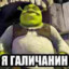 gnoM