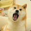 痒皮皮