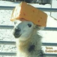 KingCheddar