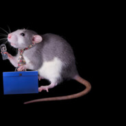 мдясiи ¯\_(ツ)_/¯