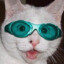 Cat with goggles