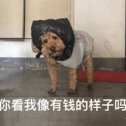 你看我像有钱的样子吗？