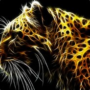 Tiger#Nr 1