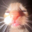 Rufuz