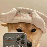 贰仙桥的成华大道