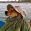 занят