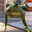 auto parry