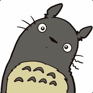 CatKing - steam id 76561197961889011